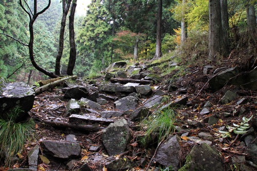 関西百名山　千ガ峰登山～。