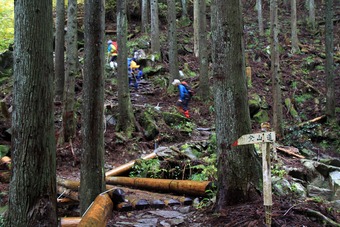 関西百名山　千ガ峰登山～。