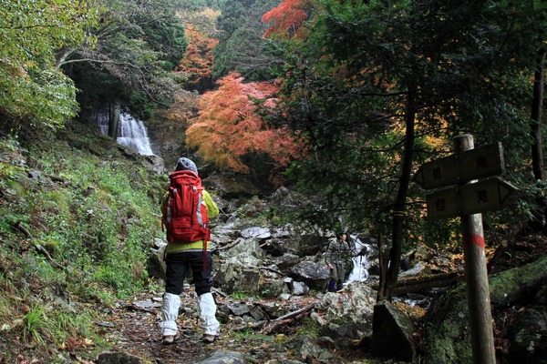 関西百名山　千ガ峰登山～。