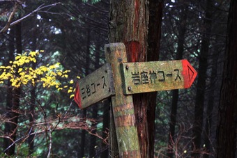 関西百名山　千ガ峰登山～。