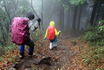 関西百名山　千ガ峰登山～。