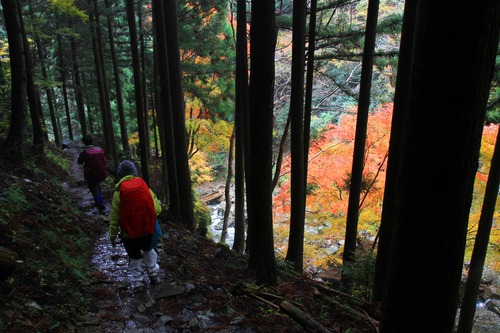 関西百名山　千ガ峰登山～。