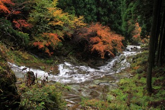 関西百名山　千ガ峰登山～。