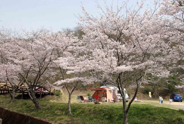 木谷山　二日酔いの朝・・・。