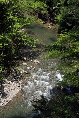 由良川源流紀行・・・トロッコ軌道敷跡を歩く！