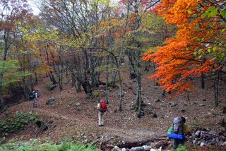 関西百名山　秋の明神平と桧塚＾＾