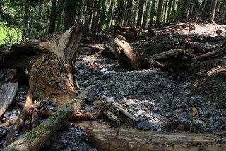 由良川源流紀行・・・トロッコ軌道敷跡を歩く！