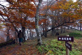 関西百名山　秋の明神平と桧塚＾＾