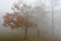 関西百名山　秋の明神平と桧塚＾＾