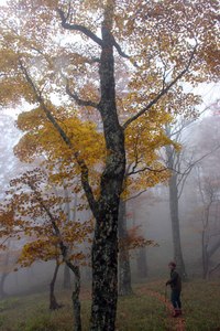 関西百名山　秋の明神平と桧塚＾＾