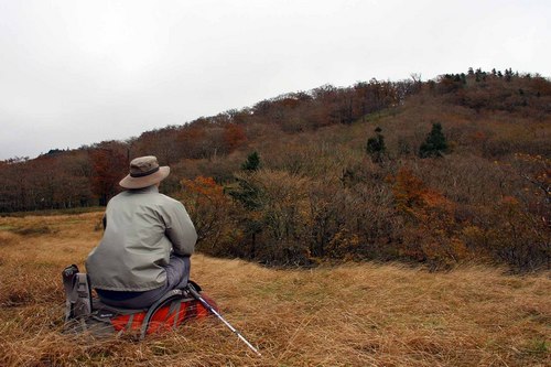 艶やかな落ち葉の道を下山～♪