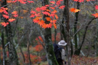 艶やかな落ち葉の道を下山～♪