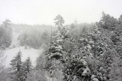 安住の場所へ～楽しむ八ヶ岳♪