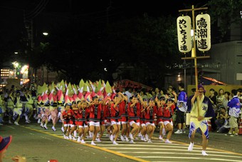 阿波踊りキャンプ～♪