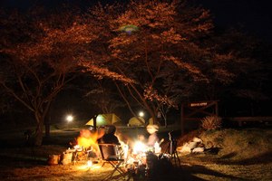 リニューアルの木谷山にふらり～♪