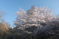 リニューアルの木谷山にふらり～♪