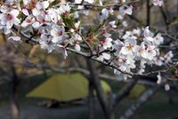 リニューアルの木谷山にふらり～♪