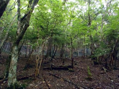 秋の縦走　三嶺～剣山　三嶺ヒュッテを目指して！