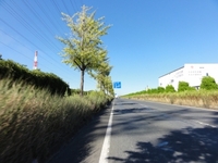 東京湾一周　その８
