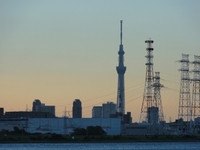 東京湾一周　その１１