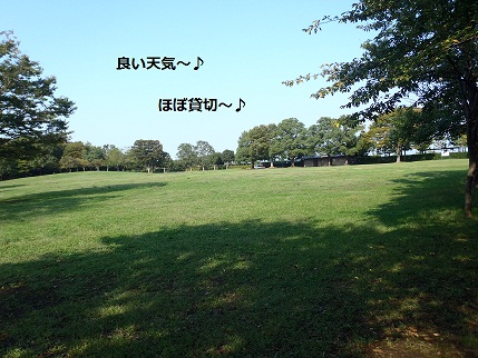 椿荘オートキャンプ場　　　　その②