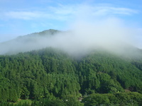 気持ちのいい朝です　～いのせ2日目～