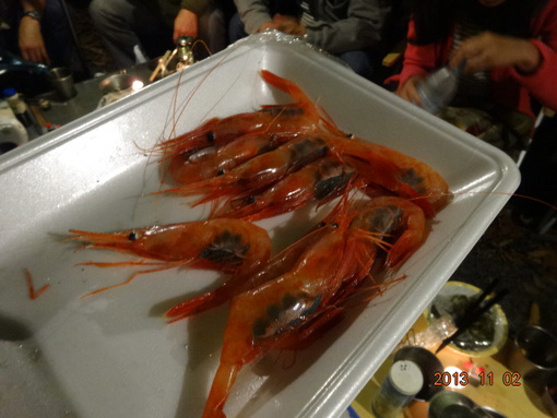 魚介でキャンプに行こうよ。。。たまには肉もねⅢ2013/11/2～4