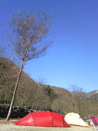 天気良いヨ♪♪