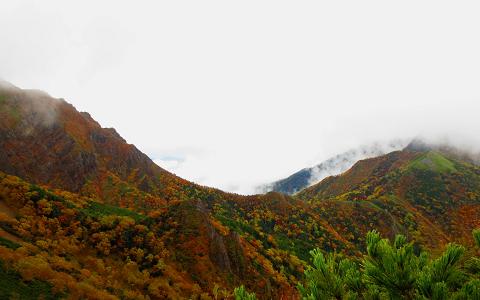 八ヶ岳を歩こう♪　～阿弥陀岳♪