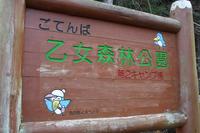 乙女森林公園第2キャンプ場①