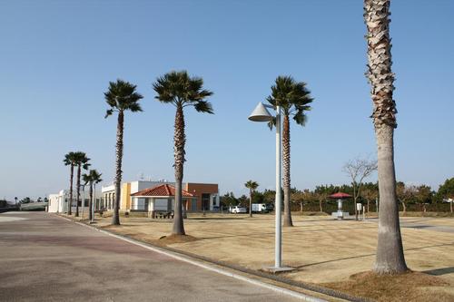 竜洋海洋公園A.C①