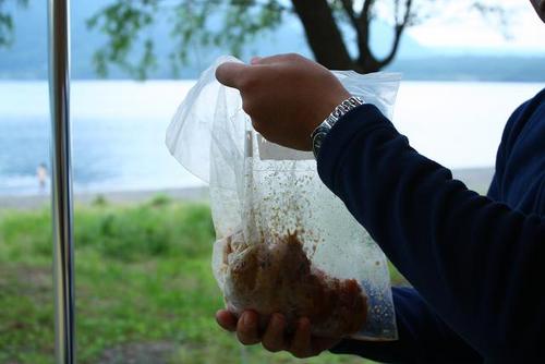 西湖自由キャンプ場②