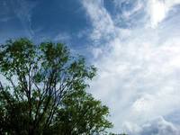 天気予報を信じるんだ♪西湖自由キャンプ場♪