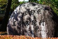 アルプスの丘①