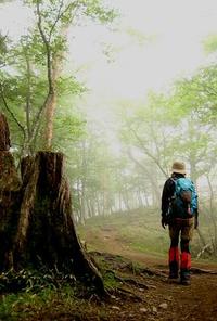 雲取山を歩こう♪　～下山♪