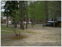 木洩れ日の中へ 見通りオートキャンプ場
