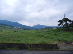 福井県　前坂キャンプ場④