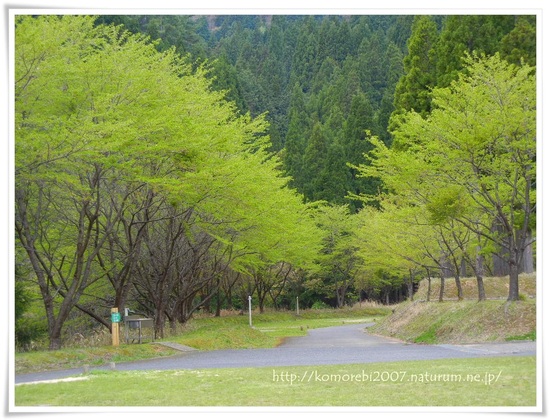 雨の湯の原温泉オートキャンプ場①