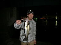 さくさくっと釣行　マジ？ 2012/05/17 12:36:51