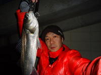 予定外の釣行！ 2013/02/25 10:27:02