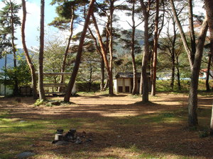 デイキャンプの風景 11月