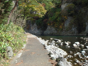 デイキャンプの風景 11月