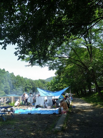 巾着田オフ　2011夏　その２