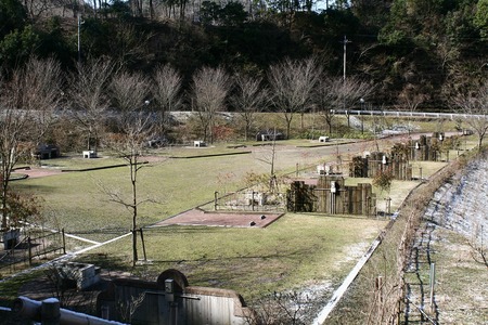 春休みキャンプ１　清和県民の森