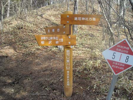 黒川鶏冠山＆大菩薩嶺(単独日帰り)　09/04/04
