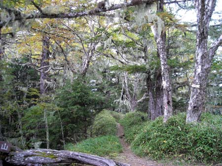 鳳凰山 地蔵岳(単独日帰り)　09/09/26