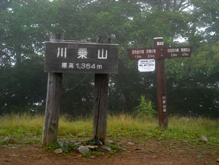 やっぱり降るのね 川苔山(単独 日帰り)　09/08/01