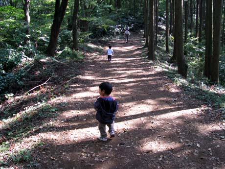 長男と次男の山、三回戦(小仏城山)　09/10/19