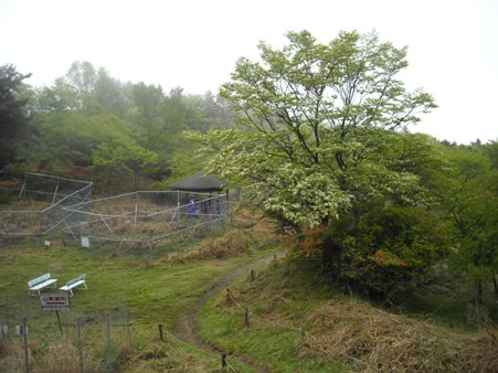 三窪高原＆大菩薩嶺 子連れ小屋泊まり ① 09/06/06