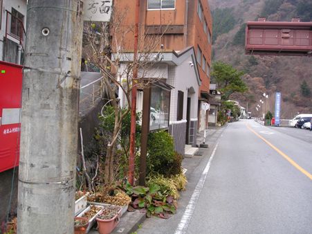 石尾根を登る(単独日帰り)　07/12/08